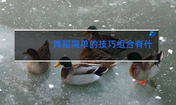 舞蹈简单的技巧组合有什么