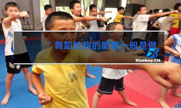 舞蹈机构的助教一般是做什么