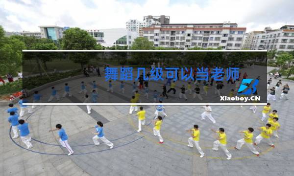 舞蹈几级可以当老师