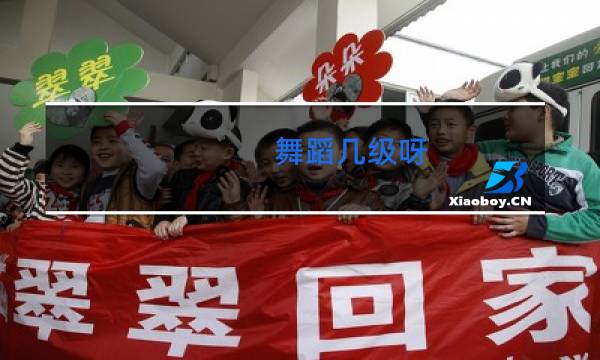 舞蹈几级呀