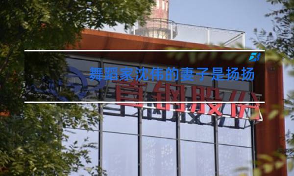 舞蹈家沈伟的妻子是扬扬吗