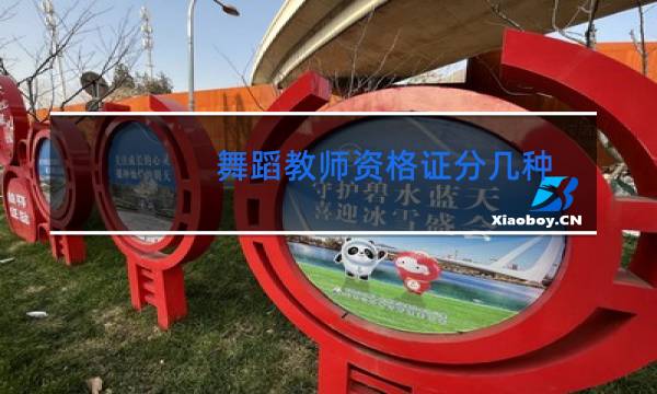 舞蹈教师资格证分几种图片
