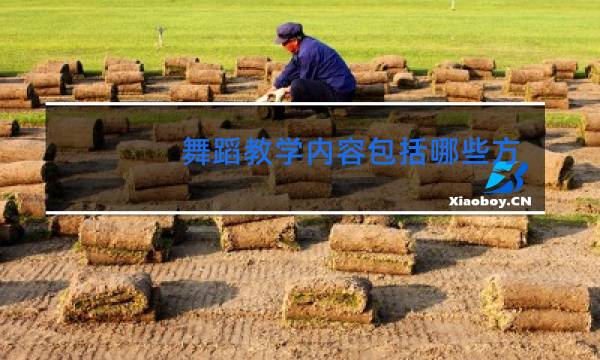 舞蹈教学内容包括哪些方面