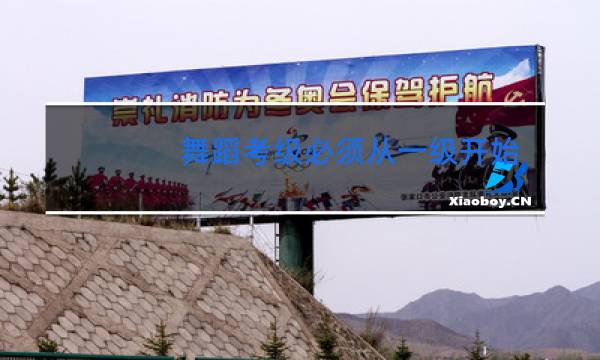 舞蹈考级必须从一级开始考吗图片