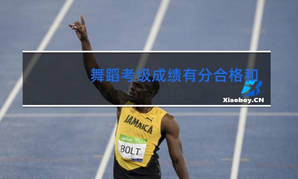 舞蹈考级成绩有分合格和优秀吗