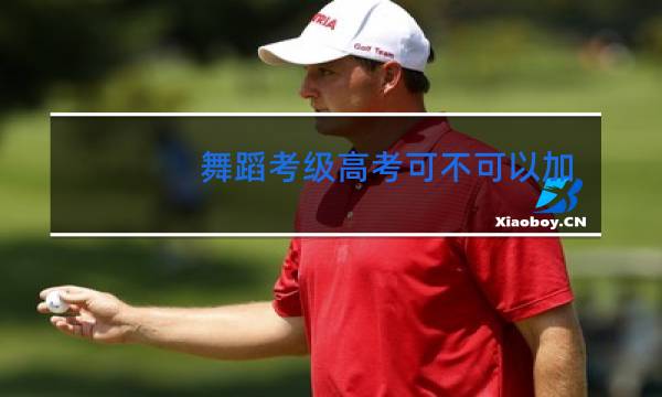 舞蹈考级高考可不可以加分图片