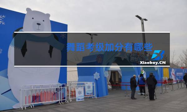 舞蹈考级加分有哪些