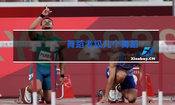 舞蹈考级几个舞蹈
