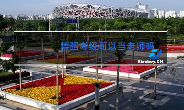 舞蹈考级可以当老师吗