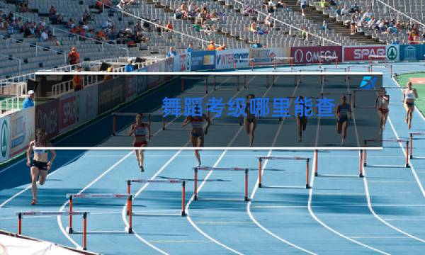 舞蹈考级哪里能查