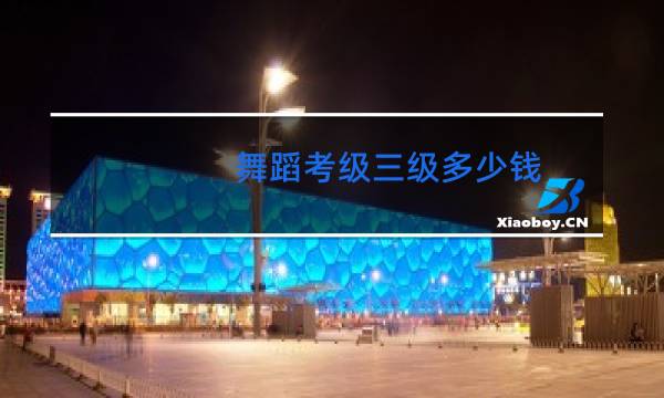 舞蹈考级三级多少钱