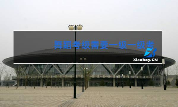 舞蹈考级需要一级一级考吗
