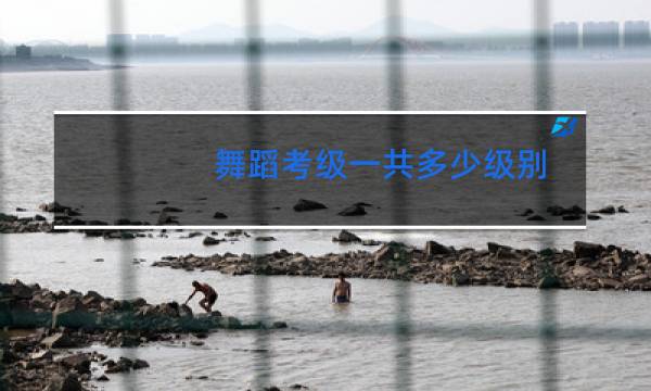 舞蹈考级一共多少级别