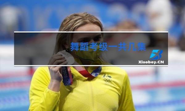 舞蹈考级一共几集图片