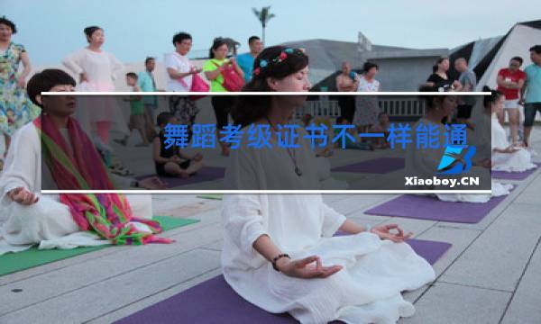 舞蹈考级证书不一样能通用吗