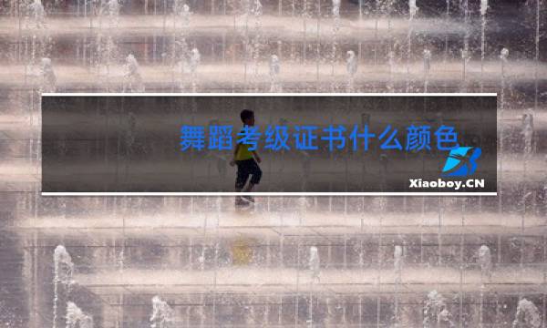舞蹈考级证书什么颜色