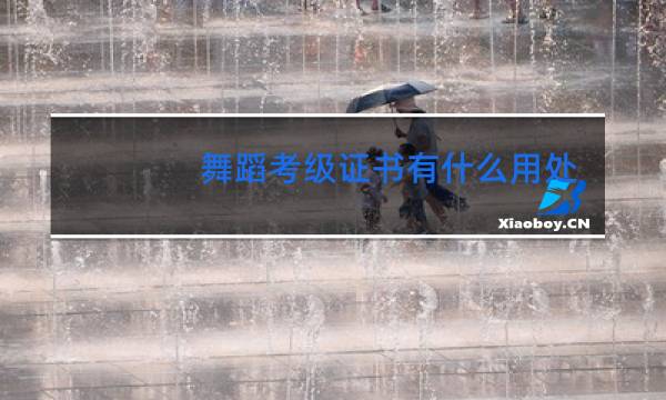 舞蹈考级证书有什么用处