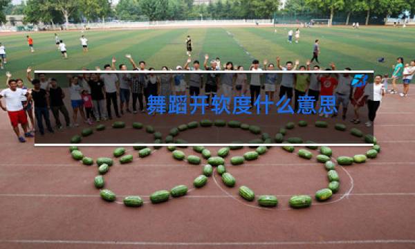 舞蹈开软度什么意思图片