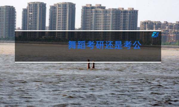 舞蹈考研还是考公
