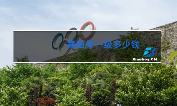 舞蹈考一级多少钱