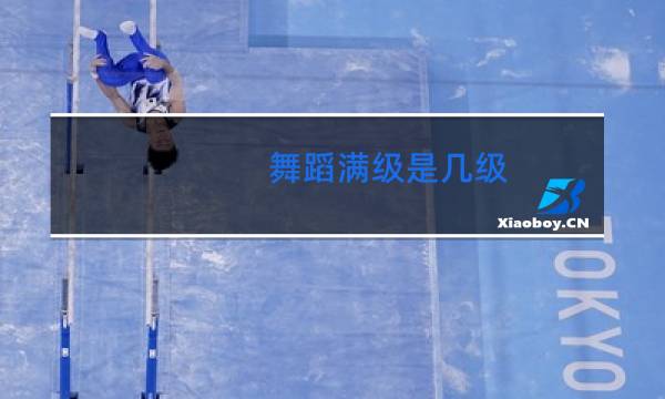 舞蹈满级是几级