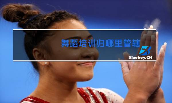 舞蹈培训归哪里管辖