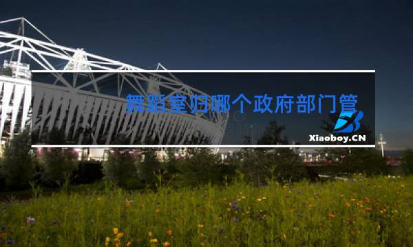 舞蹈室归哪个政府部门管图片