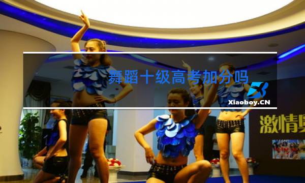 舞蹈十级高考加分吗