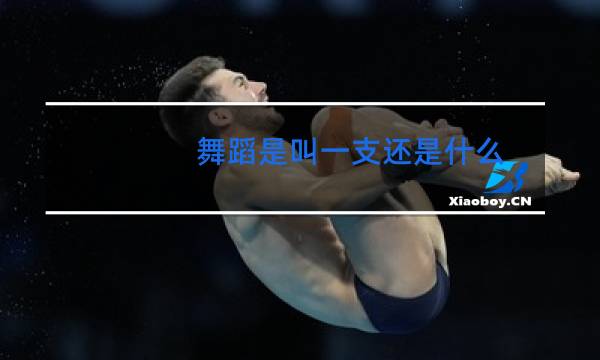 舞蹈是叫一支还是什么