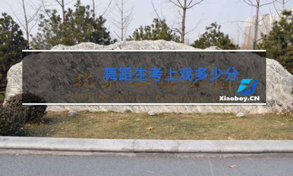 舞蹈生考上戏多少分图片