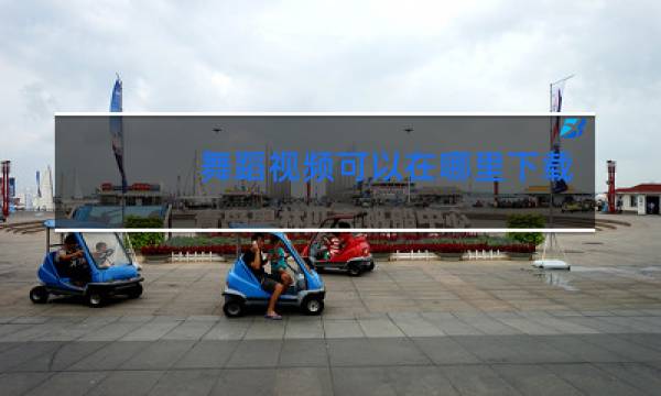 舞蹈视频可以在哪里下载