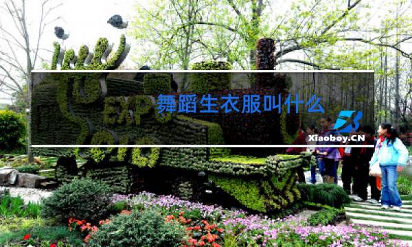 舞蹈生衣服叫什么
