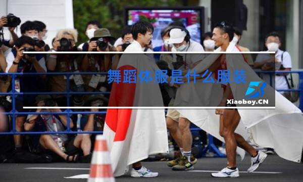 舞蹈体服是什么服装