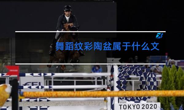 舞蹈纹彩陶盆属于什么文化