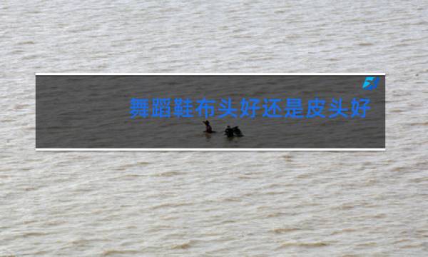 舞蹈鞋布头好还是皮头好