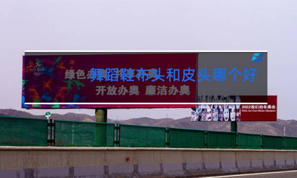 舞蹈鞋布头和皮头哪个好