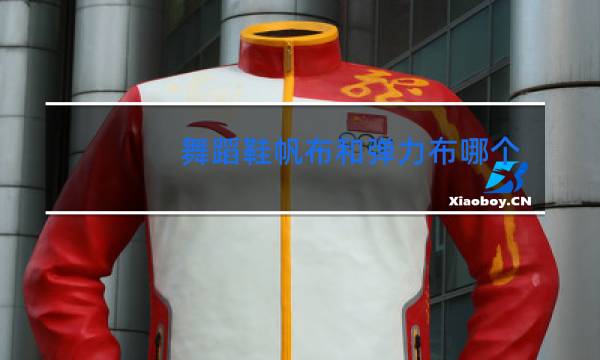 舞蹈鞋帆布和弹力布哪个好