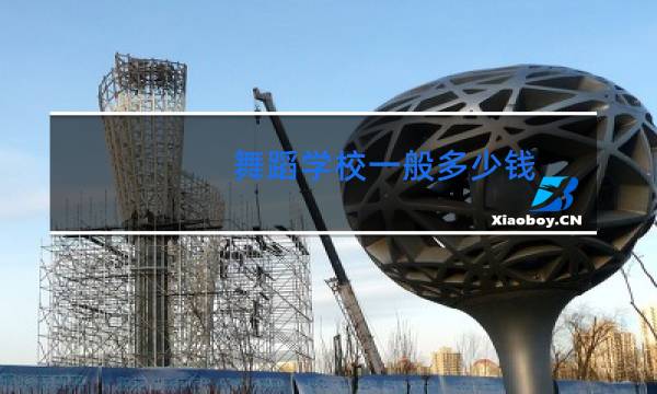 舞蹈学校一般多少钱