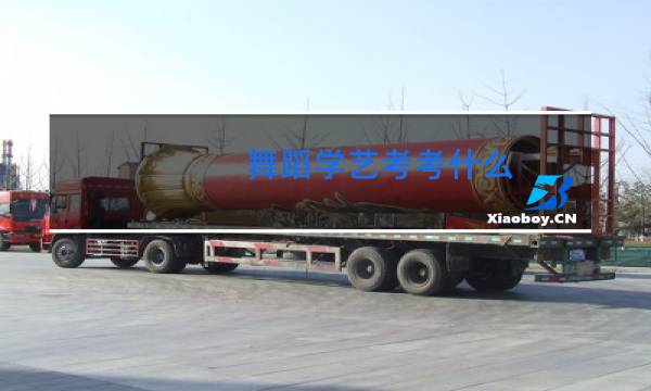 舞蹈学艺考考什么