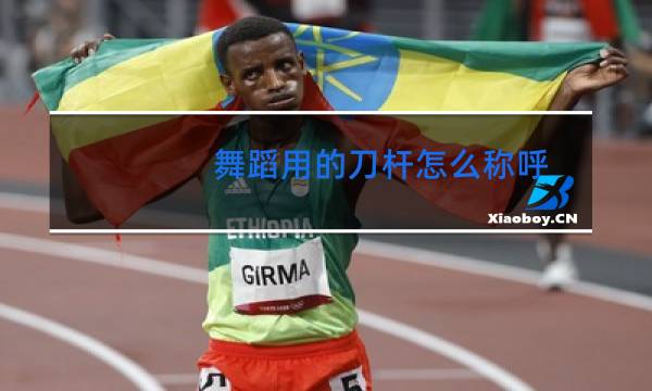 舞蹈用的刀杆怎么称呼图片
