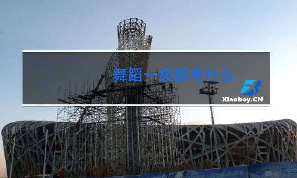 舞蹈一级都考什么