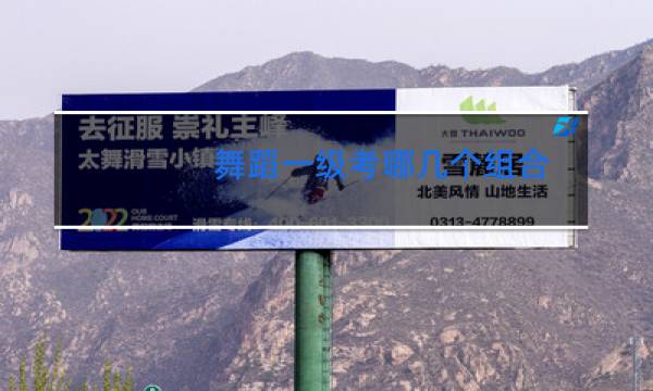 舞蹈一级考哪几个组合图片