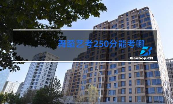 舞蹈艺考250分能考哪些大学