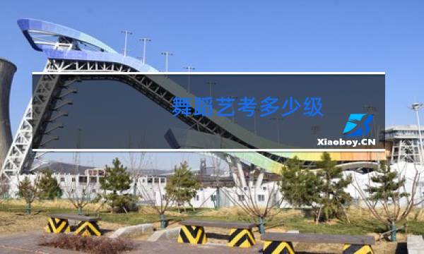 舞蹈艺考多少级图片