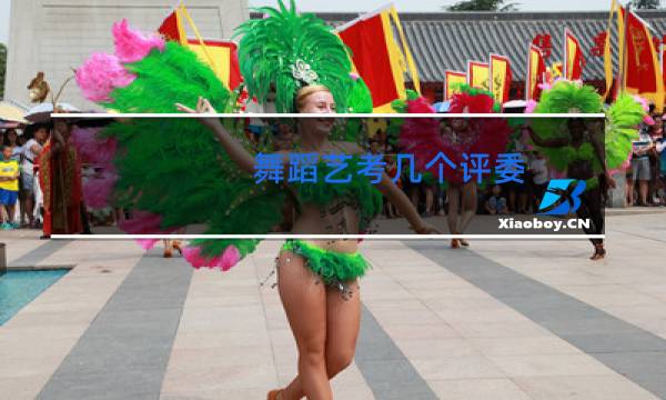 舞蹈艺考几个评委
