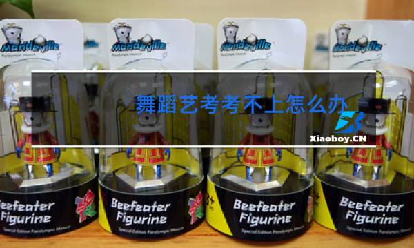 舞蹈艺考考不上怎么办