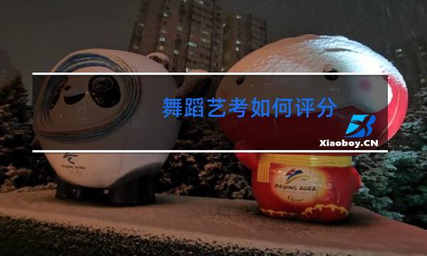 舞蹈艺考如何评分图片