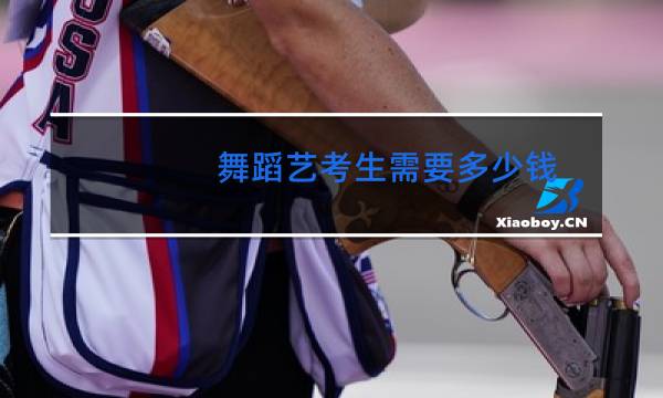 舞蹈艺考生需要多少钱图片