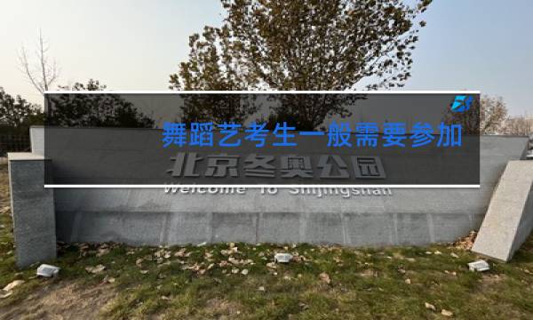 舞蹈艺考生一般需要参加哪些考试