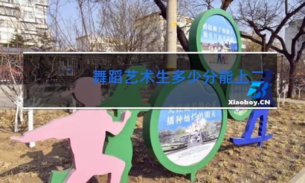 舞蹈艺术生多少分能上二本